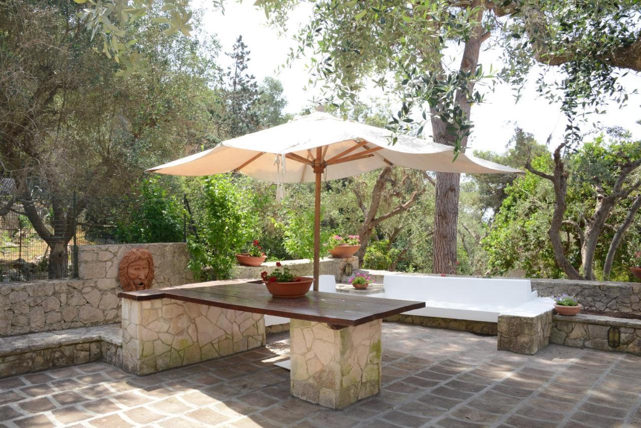 L'Antico Ulivo Villa Санта Чезареа Терме Екстериор снимка