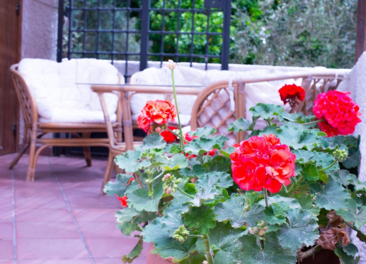 L'Antico Ulivo Villa Санта Чезареа Терме Екстериор снимка