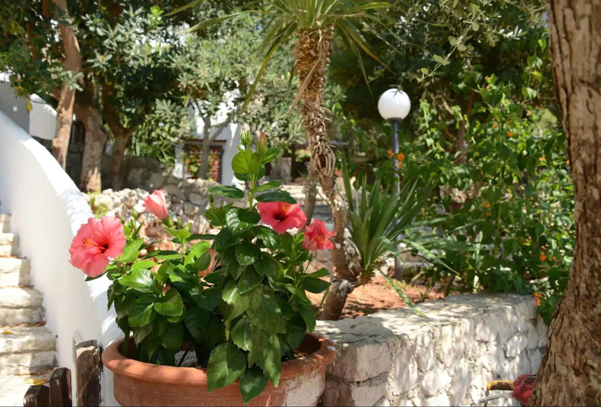 L'Antico Ulivo Villa Санта Чезареа Терме Екстериор снимка