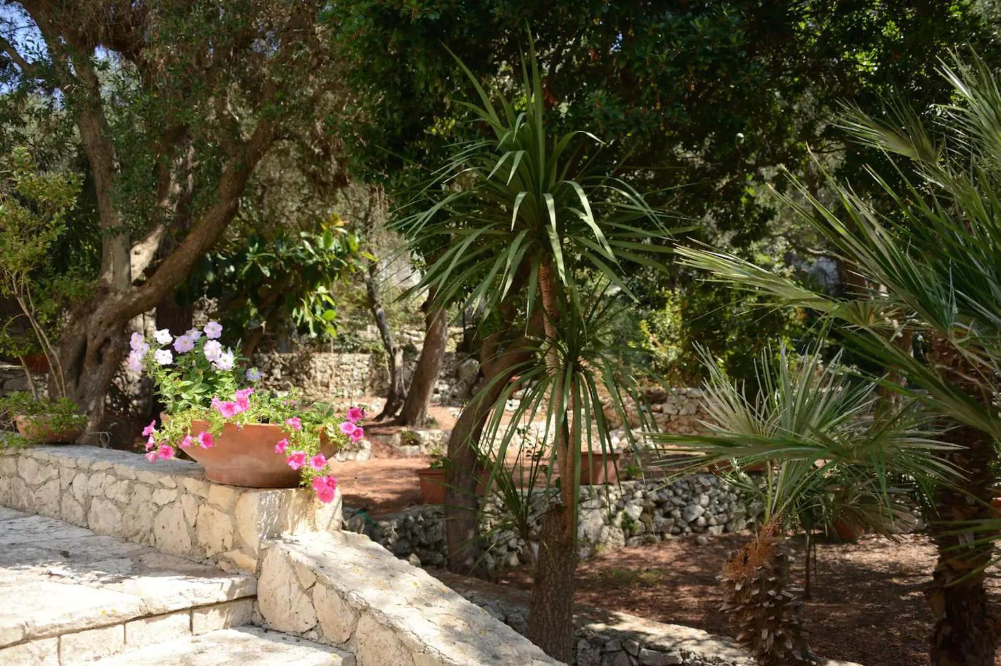 L'Antico Ulivo Villa Санта Чезареа Терме Екстериор снимка